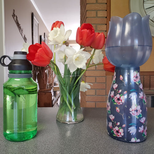 The Flower Filter — Single Filter